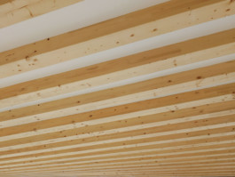 FELIX RASCHKE ARCHITEKT