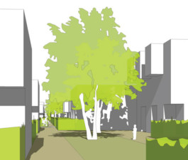 FELIX RASCHKE ARCHITEKT