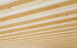 FELIX RASCHKE ARCHITEKT