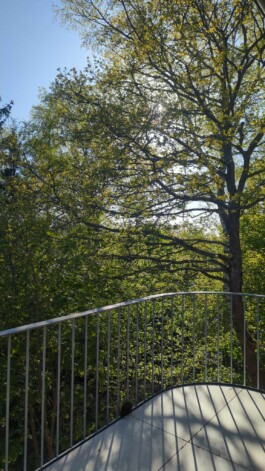 Ausblick vom Balkon nach Westen über Baumwipfel